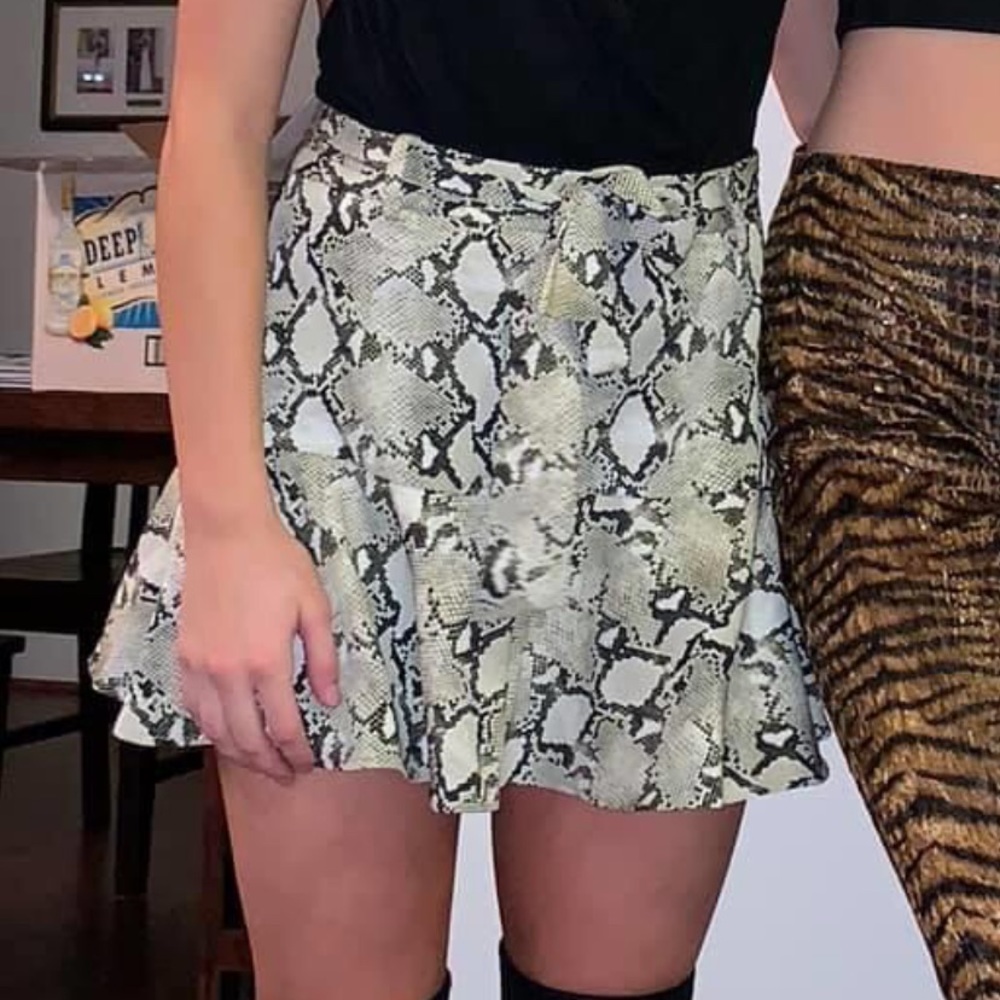 Zara snake print skirt